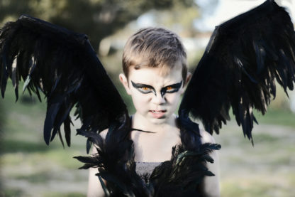 Black Swan / Swan Lake inspired boys costume