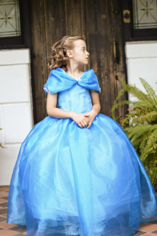 Cinderella 2015 -Inspired by the Butterfly Ballgown  HANDMADE -  FREE POSTAGE within Australia