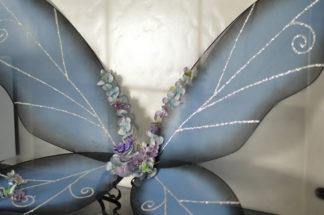 Fairy wings (Tinkerbell, Flower fairies etc)