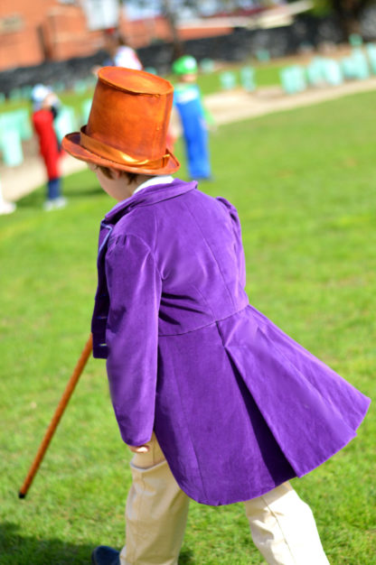 Willy Wonka Costume - Charlie and the Chocolate Factory costume